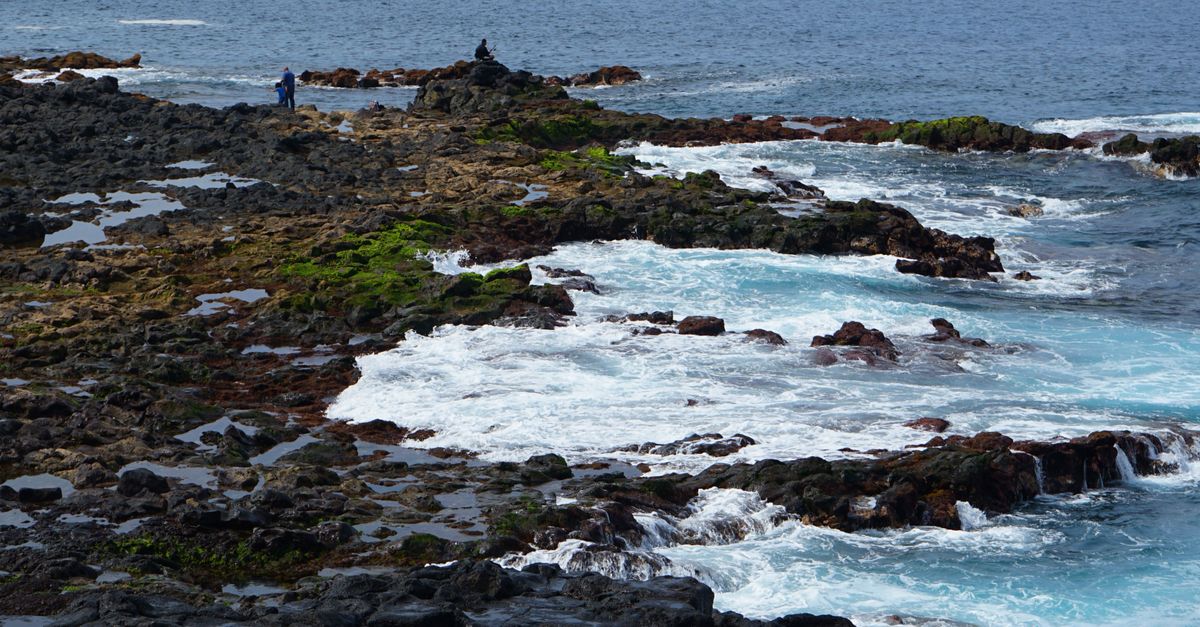 Rocks on Sea Shore · Free Stock Photo