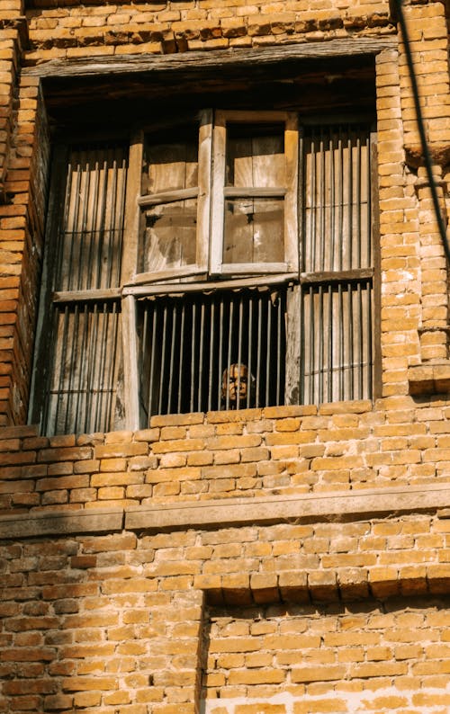 Windows and Bars on Wall