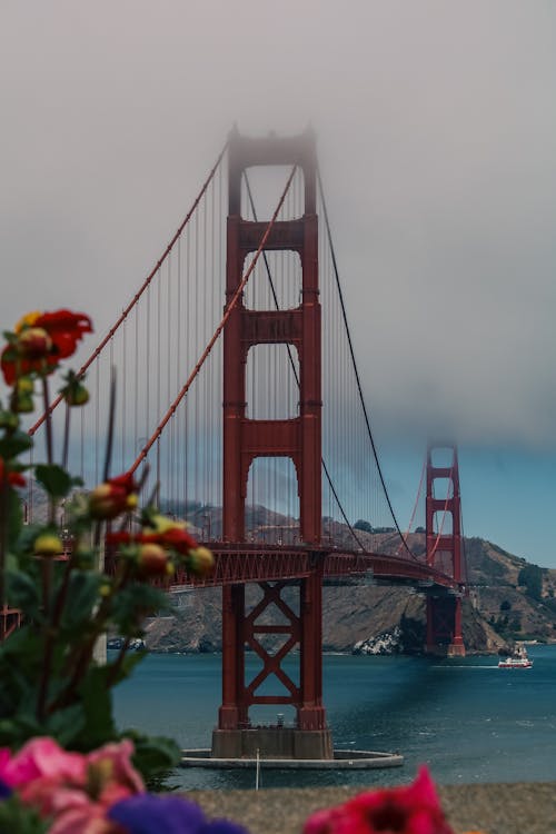 The Golden Gate Bridge seen from between Flowers