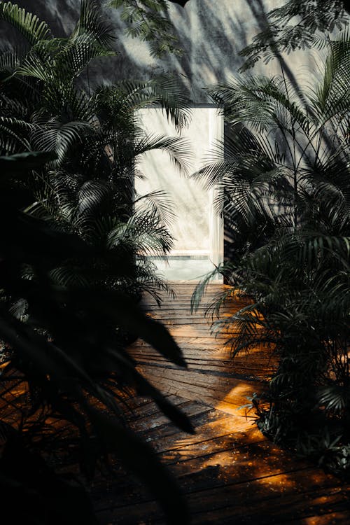 Бесплатное стоковое фото с ботанический сад, вертикальный выстрел, деревянный