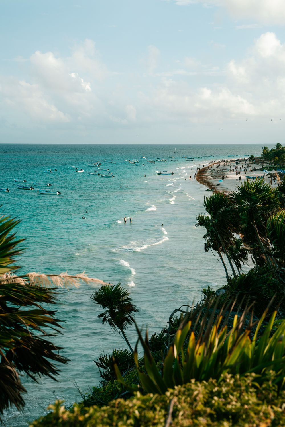Lush palm trees frame a vibrant turquoise tropical coastline in Mexico