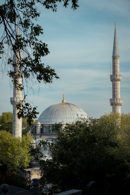 Ilmainen kuvapankkikuva tunnisteilla Istanbul, kalkkuna, kupoli