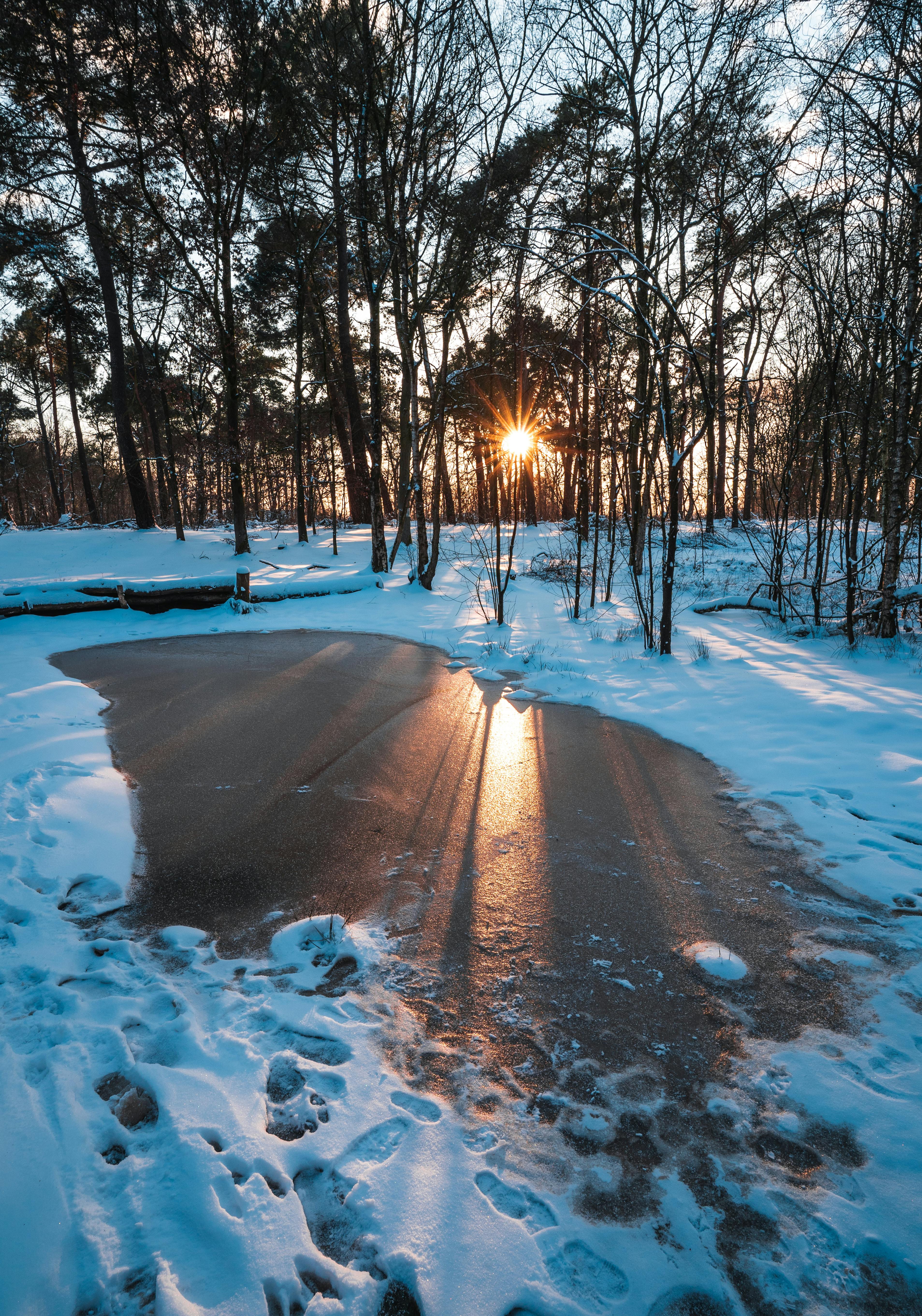 Sun Shining on Frozen Pond in Park · Free Stock Photo Sun Shining on Frozen Pond in Park · Free Stock Photo