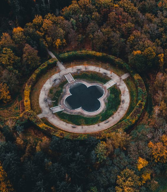 Stunning aerial shot of a circular park pathway surrounded by vibrant autumn foliage.