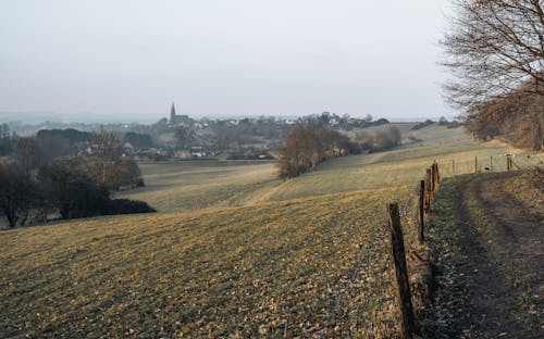 Landscape of Rural Fields and a Skyline of a Town in the Background 