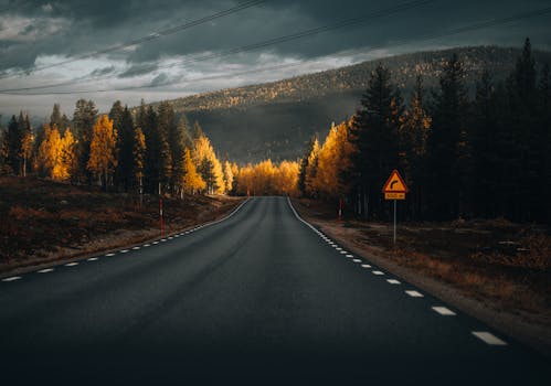 Autumn road through forest with dramatic sky and golden leaves, leading towards distant hills.