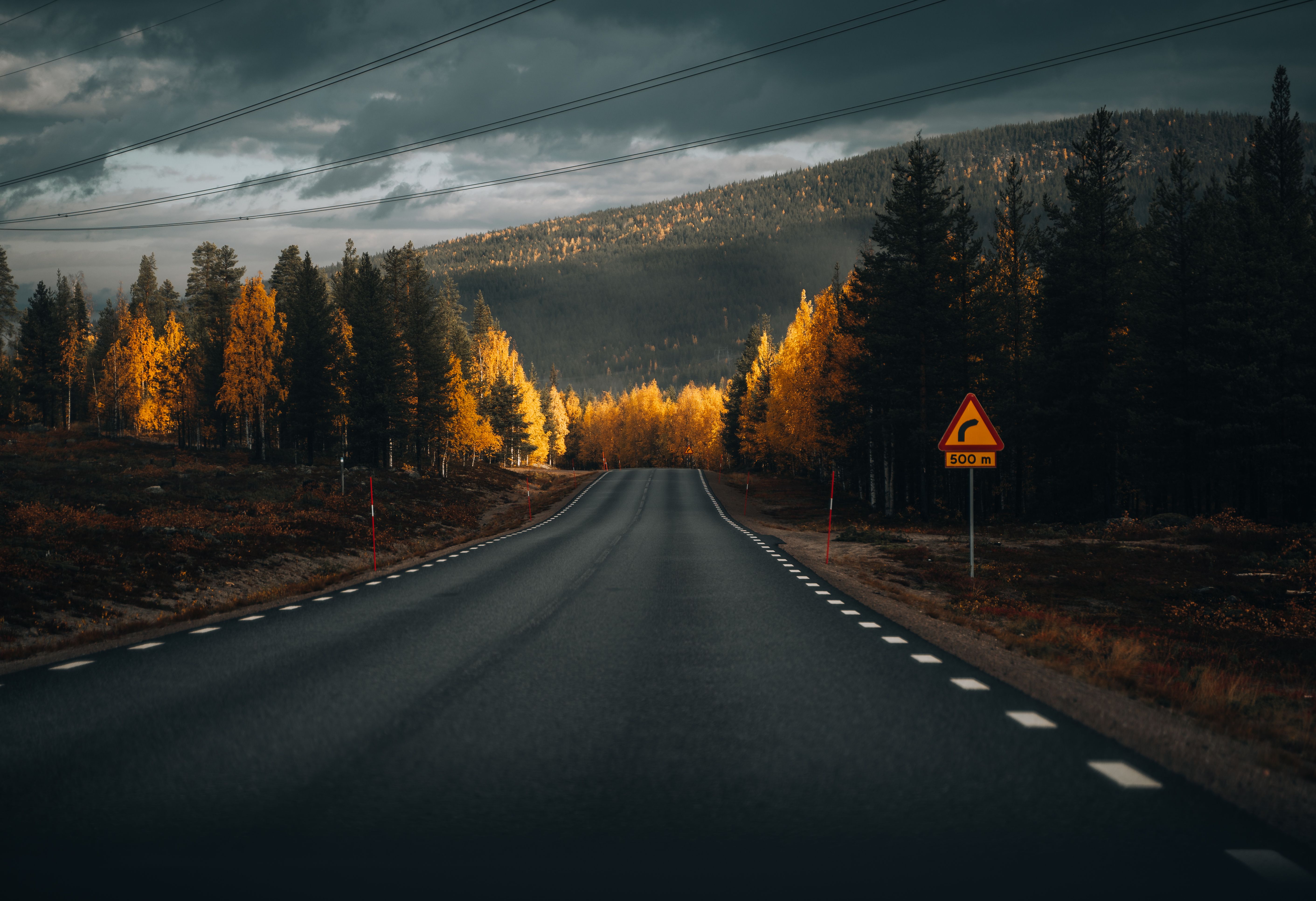 Asphalt Road Among Trees in Autumn · Free Stock Photo