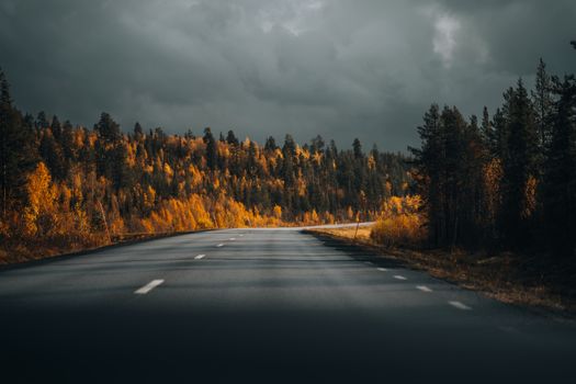 A scenic highway cutting through vibrant autumn foliage under a dramatic sky.