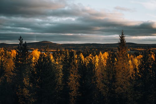 Fotobanka s bezplatnými fotkami na tému farebný, hlboký, jeseň