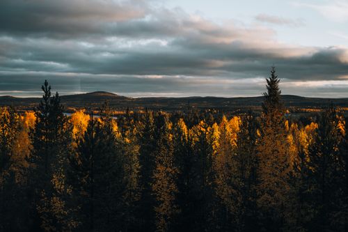 Free A stunning aerial capture of a colorful autumn forest under a dramatic sky. Stock Photo