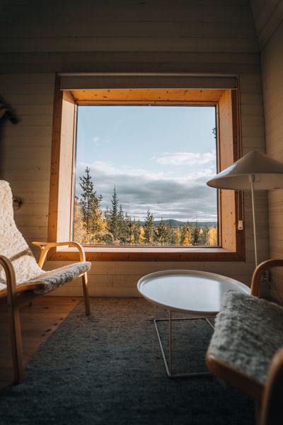 Cabin room with a picture window over the treeline — photo by Stijn Dijkstra on Pexels