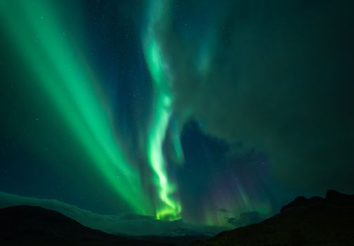 Mesmerizing display of the Aurora Borealis under a starry night sky.
