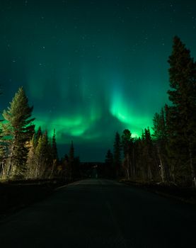 Mesmerizing Northern Lights dancing over a tranquil forest road at night.