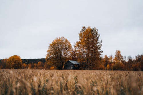 Schweden Landschaftshaus