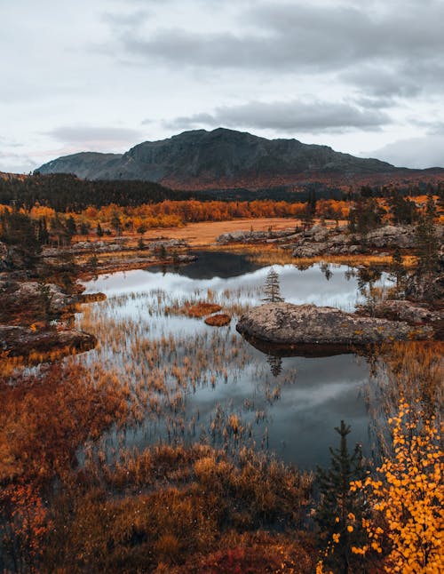 Lake in Countryside in Autumn