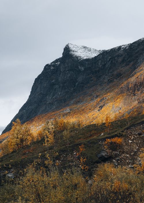 Free Captivating mountain scenery in autumn with vibrant foliage and an overcast sky. Stock Photo