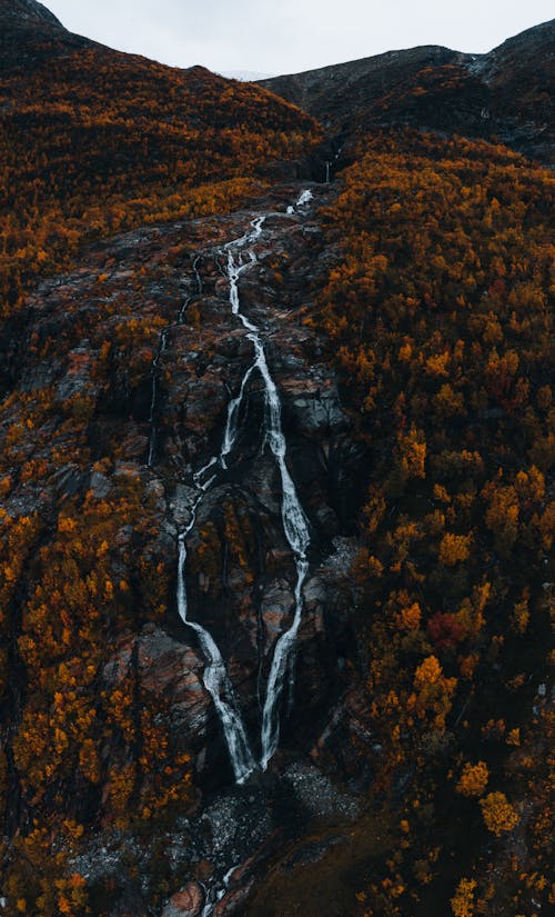 River and Waterfall Among the Forest on a Rocky Mountain in Autumn