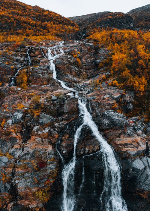 Autumn Trees around Waterfall