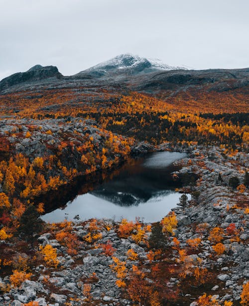 Lake and Autumn Trees around