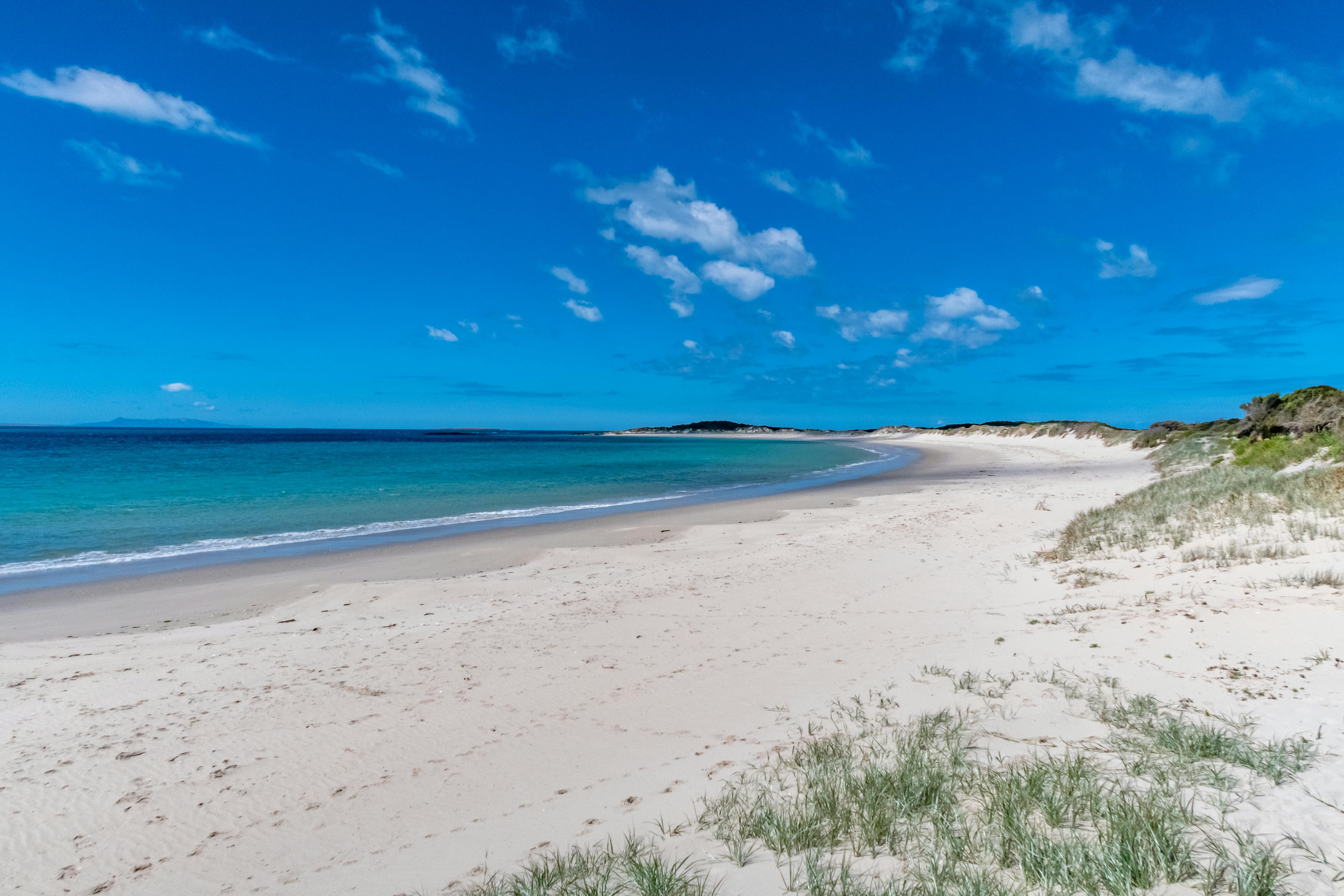 Free stock photo of beach, tasmania