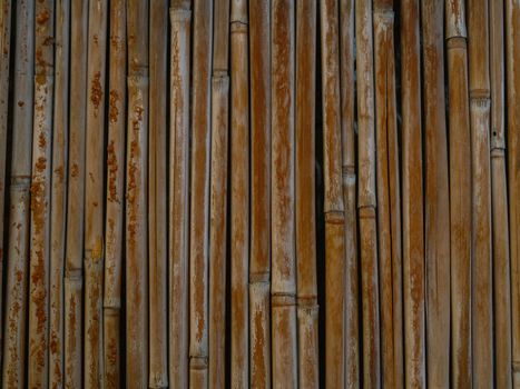 aged dark bamboo