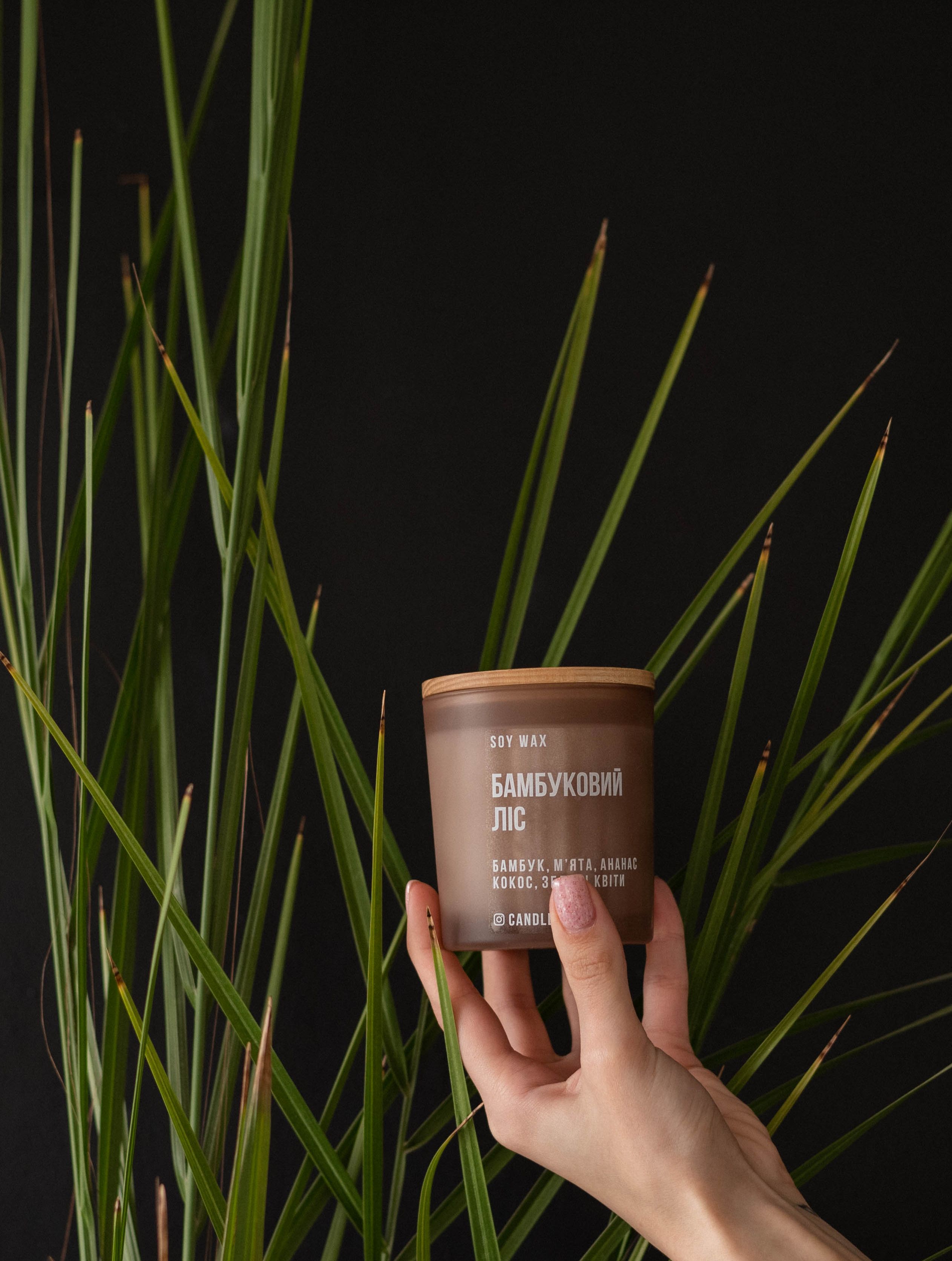 Close-up of a hand holding a soy wax candle against bamboo leaves on a dark background.