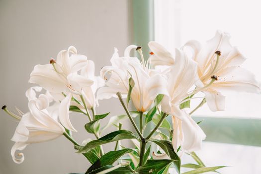 White Flowers near Window