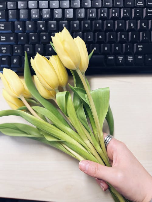 Woman Hand Holding Tulips Bouquet near Keyboard