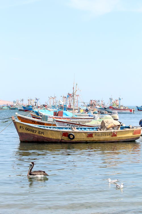 Fishing Boats on Seashore