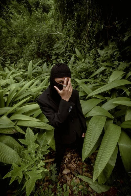 Kostenloses Stock Foto zu anzug, laub, mann