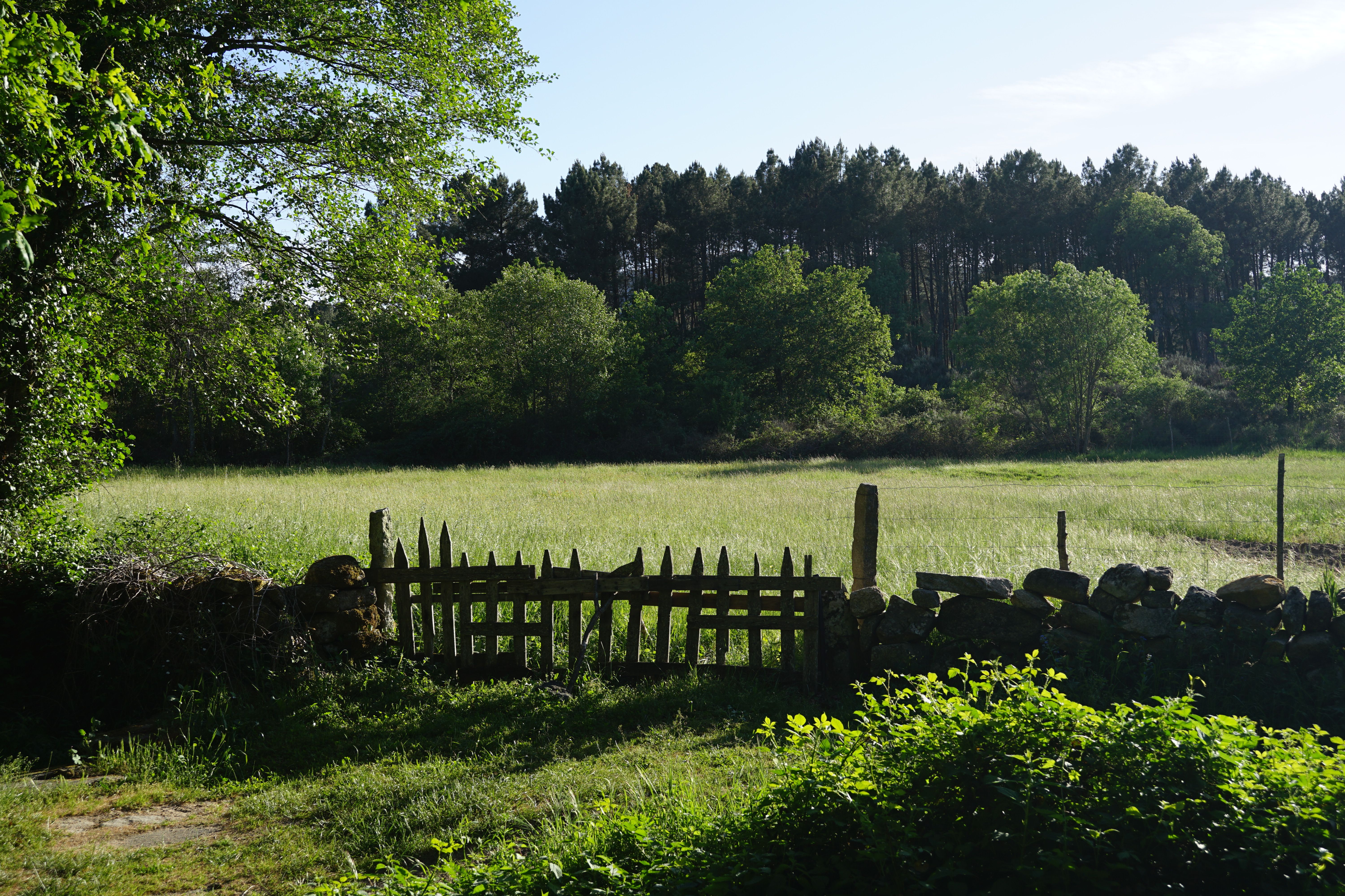 Fence and Decking Painting in Havering-atte-Bower — woodwork brushed to a crisp, smooth line
