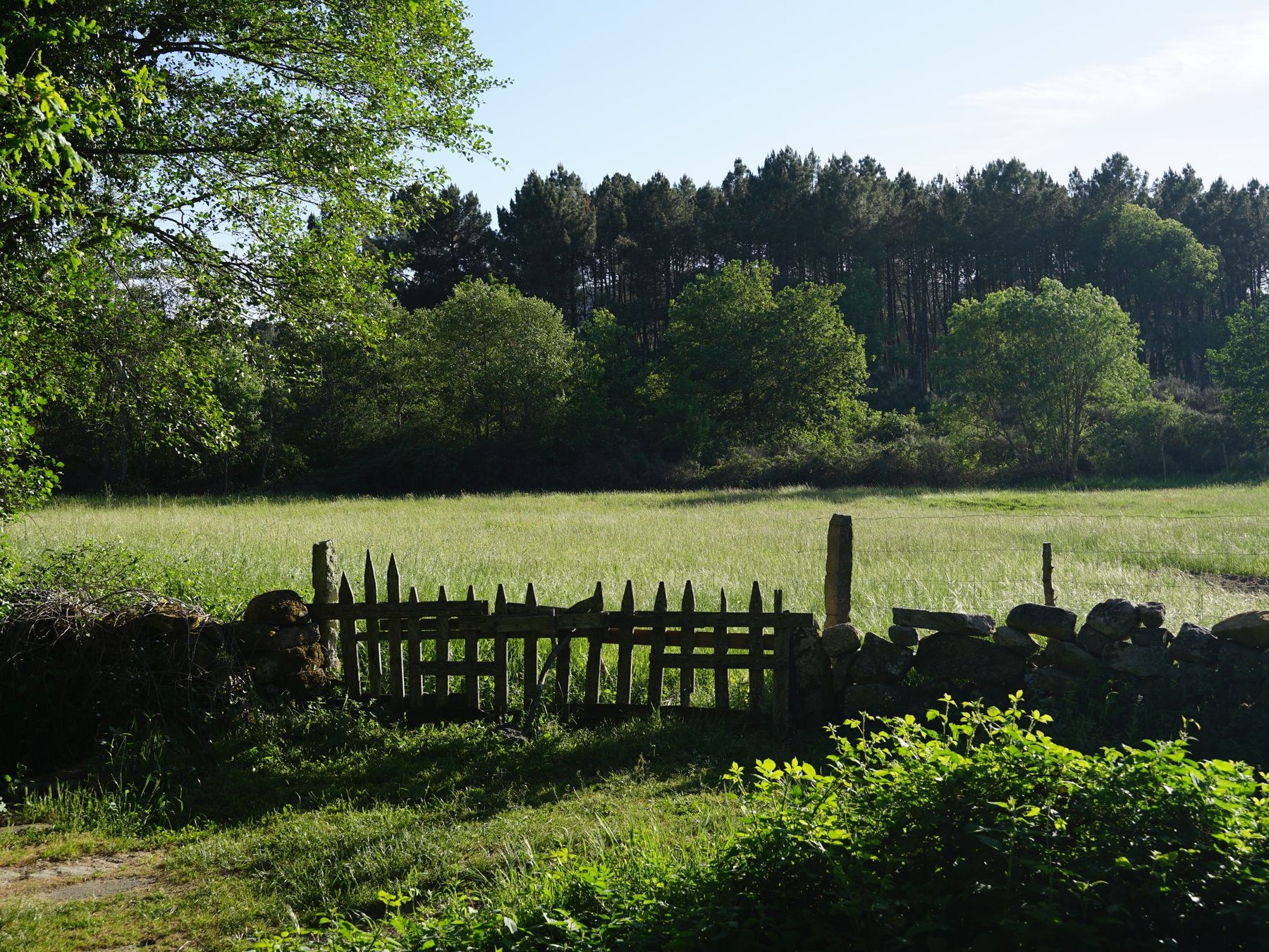 Fence and Decking Painting in Havering-atte-Bower — woodwork brushed to a crisp, smooth line