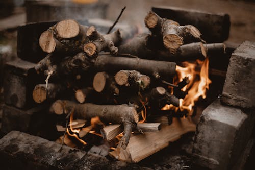 Close up of Burning Wood