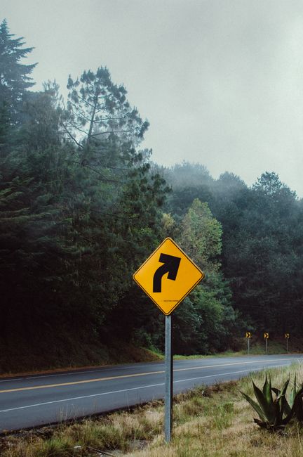 Road curves through a misty forest in Veracruz, Mexico, with a prominent curve ahead sign.
