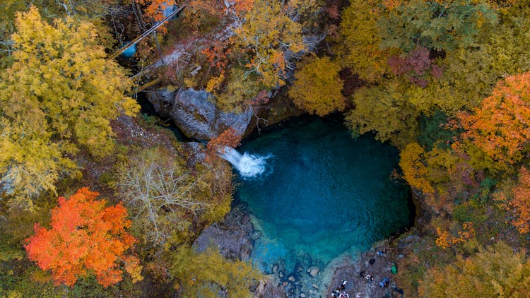 Aerial View Of A Creek With Autumnal Trees Around It 