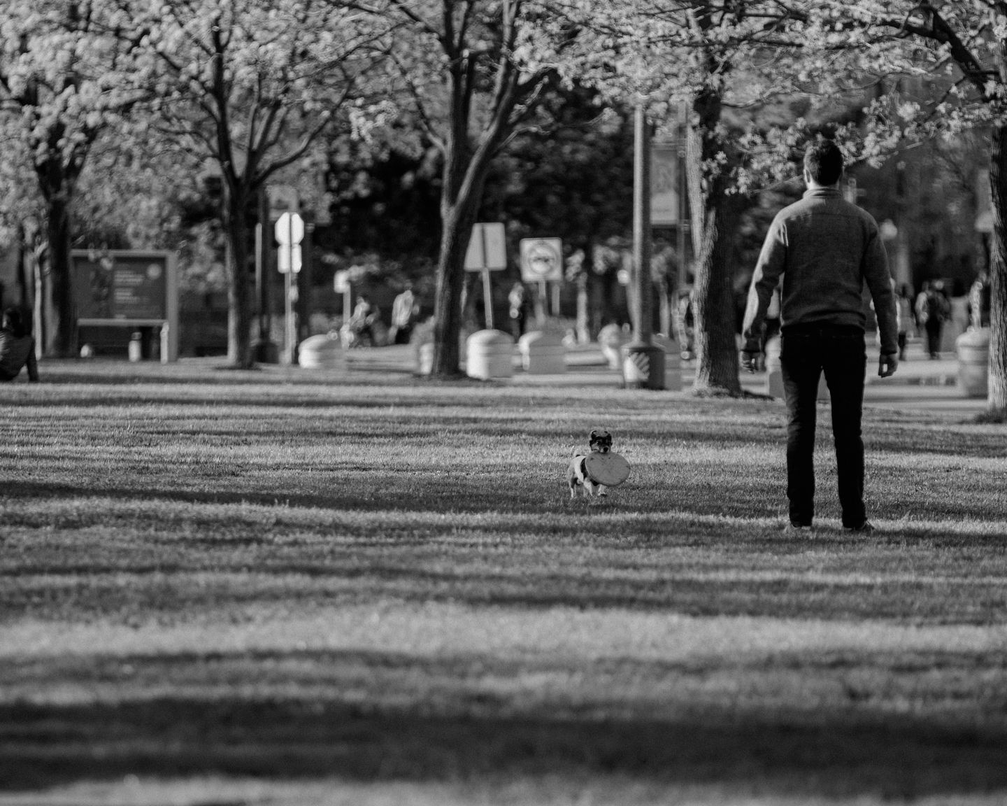 Person enjoying an interactive game of fetch with their dog at a park