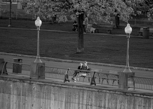 Photos gratuites de arbres, bancs, couple