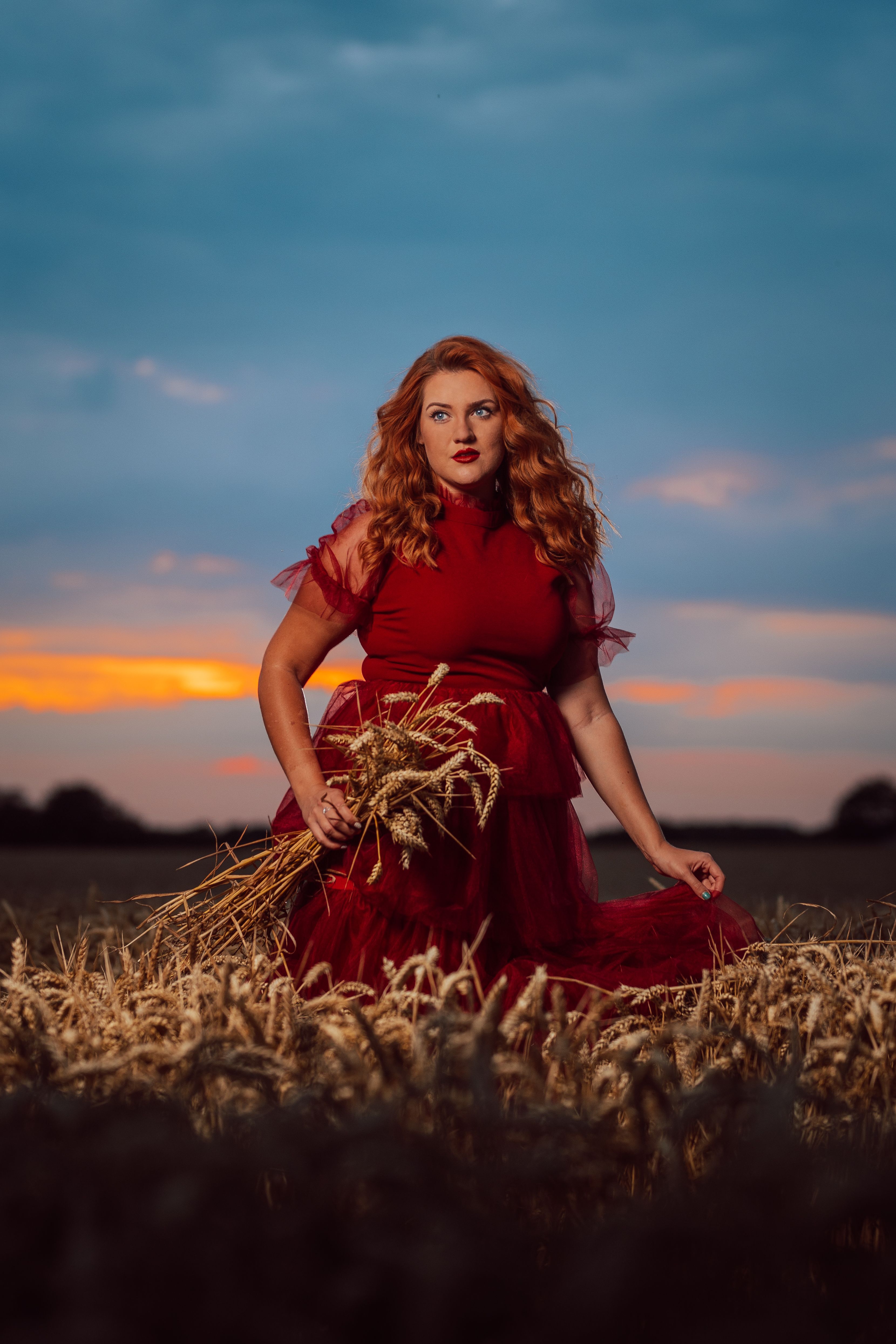 Beautiful Woman in Red Dress Posing in Field · Free Stock Photo