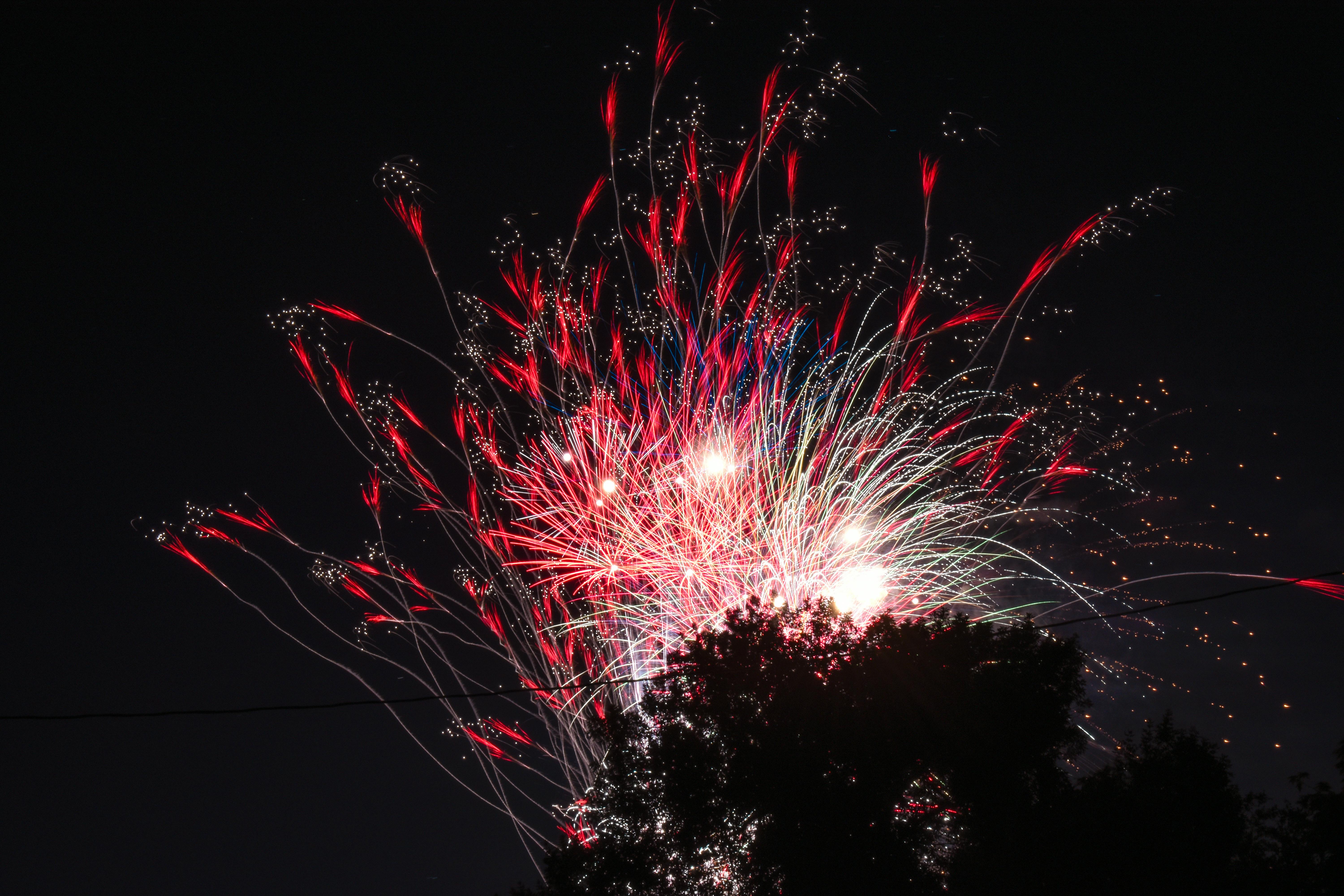 Free stock photo of 4th of july, back light, fireworks