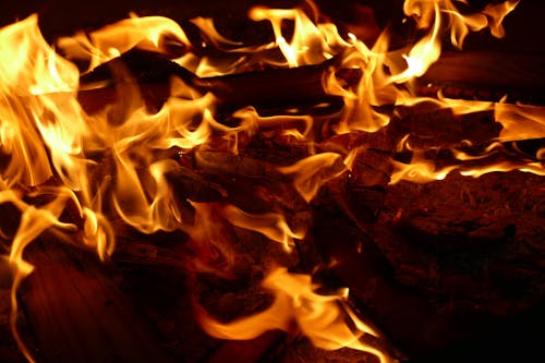 Close-up of a Bonfire 