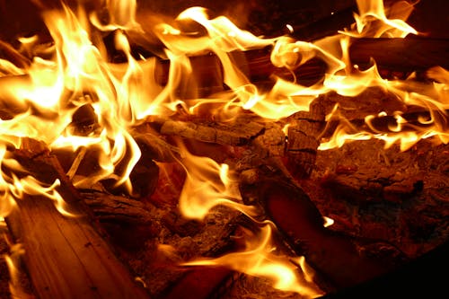 Close up of Burning Wood
