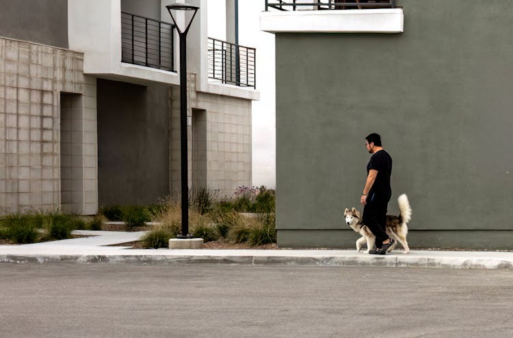 A Man Walking His Dog In City 