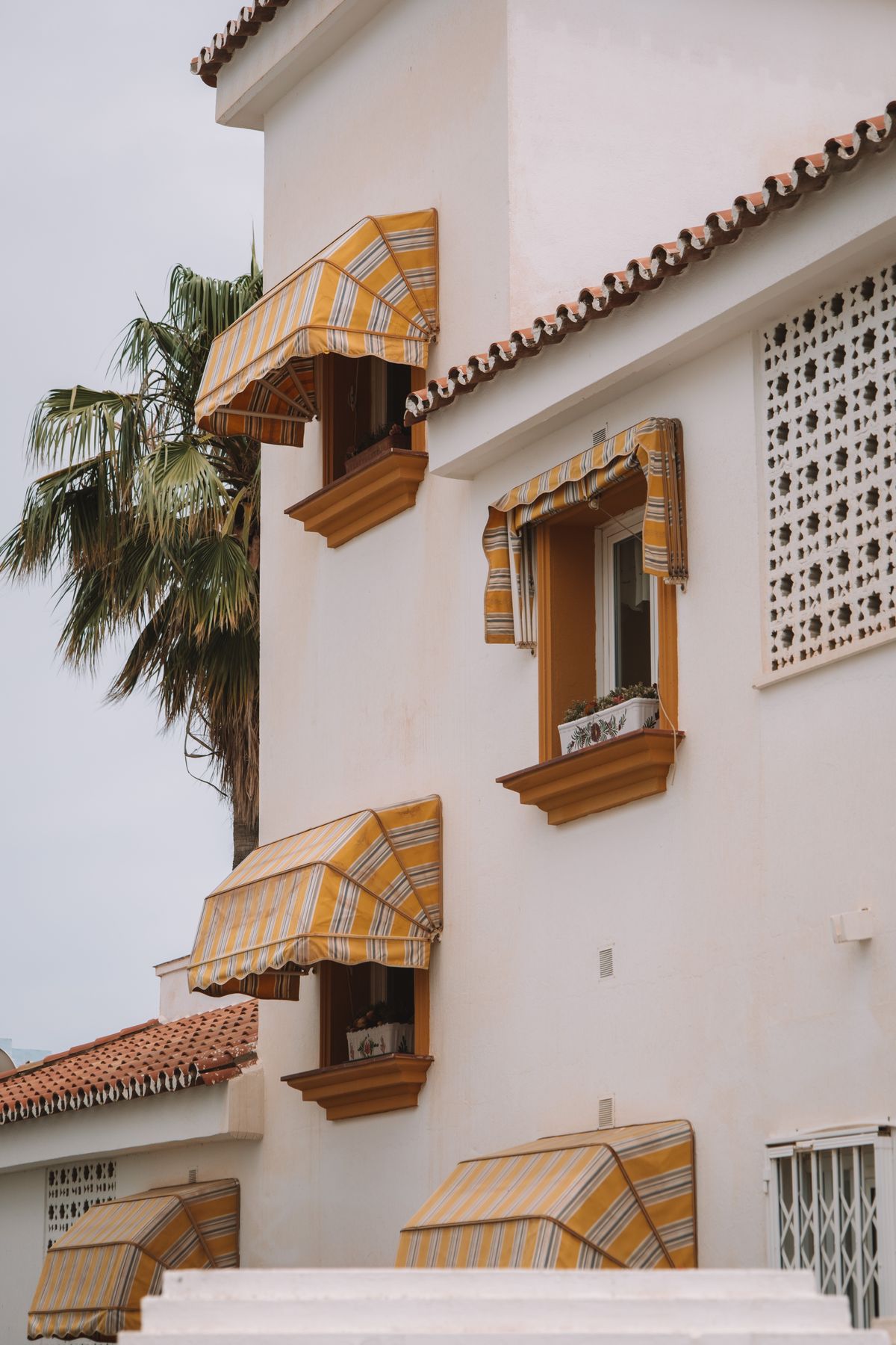 Building exterior with striped awnings