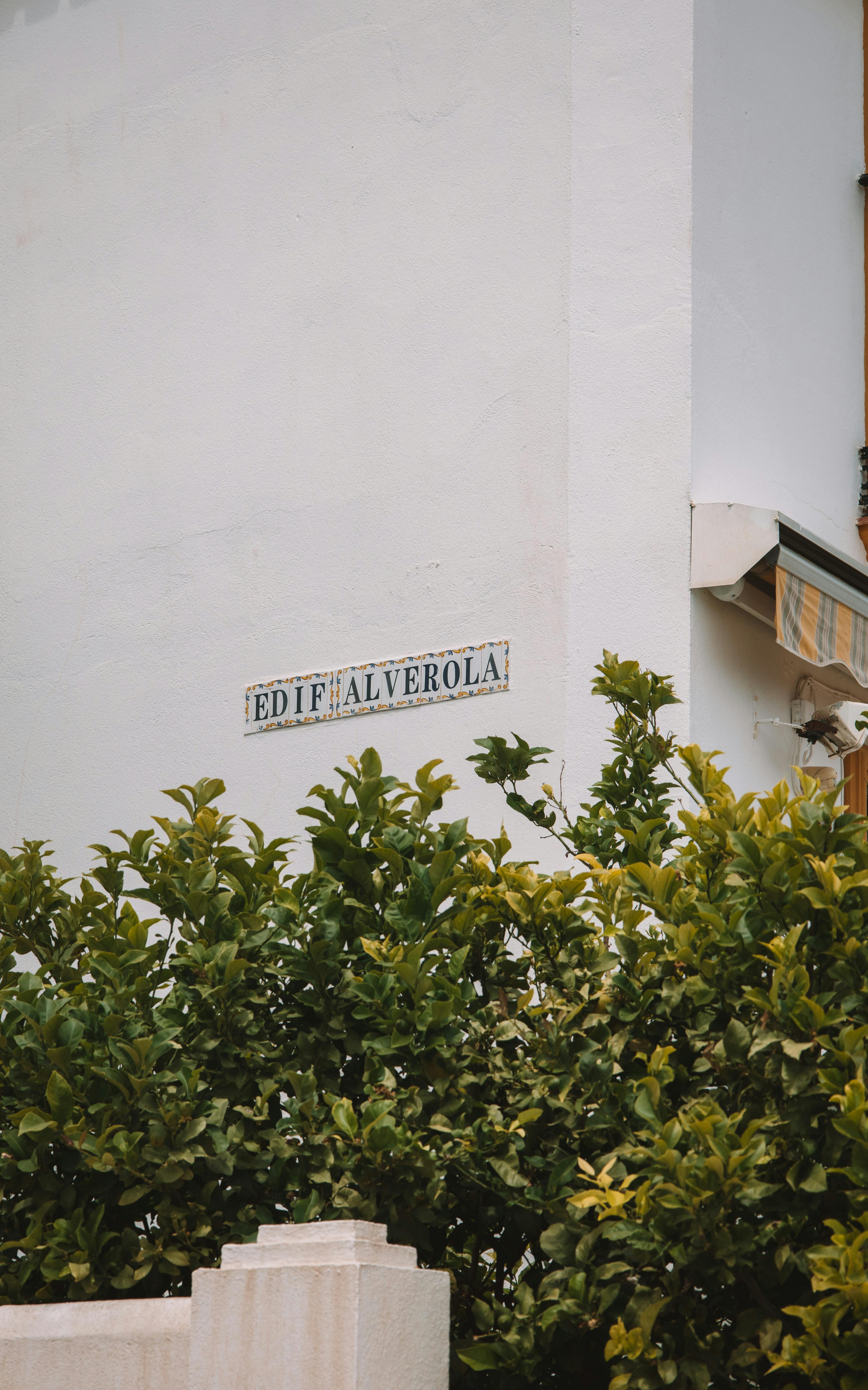 Exterior view of Edificio Alverola with shrubs in Málaga, Spain, showcasing urban architecture.
