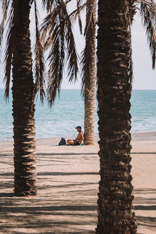 A Man Sitting on the Beach under a Palm Tree 