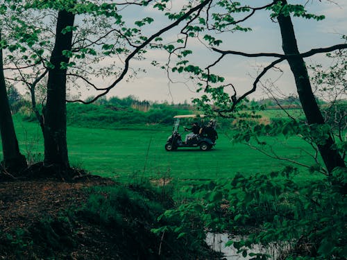 Základová fotografie zdarma na téma golfový vozík, hřiště, rekreace