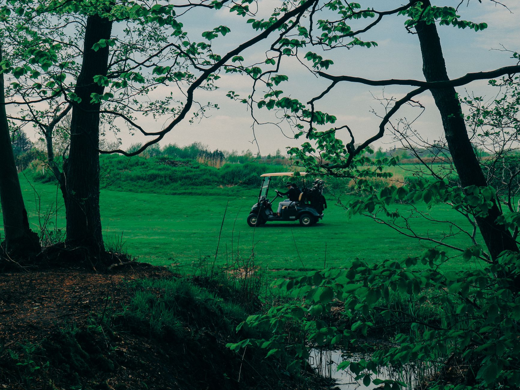 Golf cart on a lush green field surrounded by trees, perfect for leisure and sport enthusiasts in nordic settings.