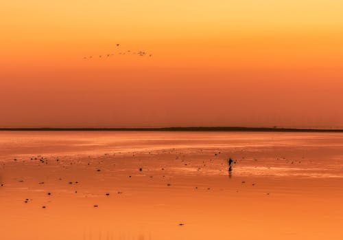 Free stock photo of doha, kuwait, sunrise