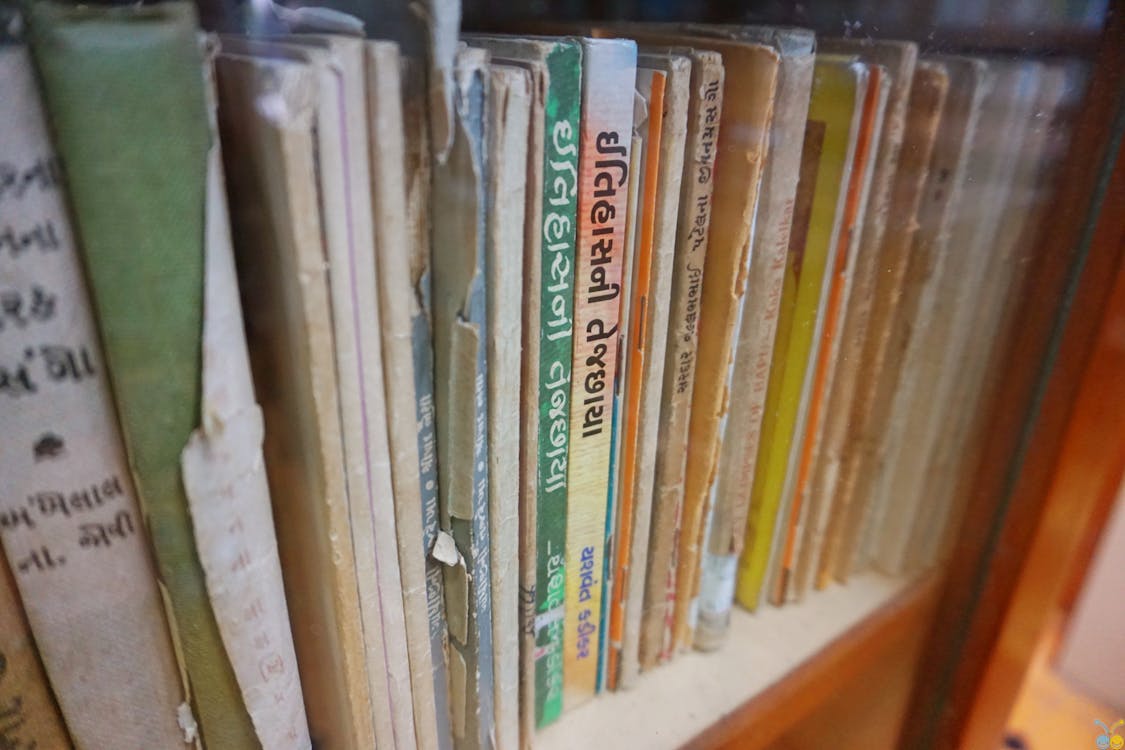 Free Books in Wooden Bookshelf Stock Photo