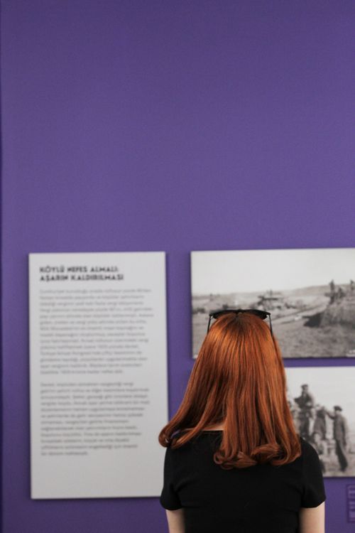 Free A woman with long red hair stands in front of a museum exhibition featuring historical images and text on a purple wall. Stock Photo